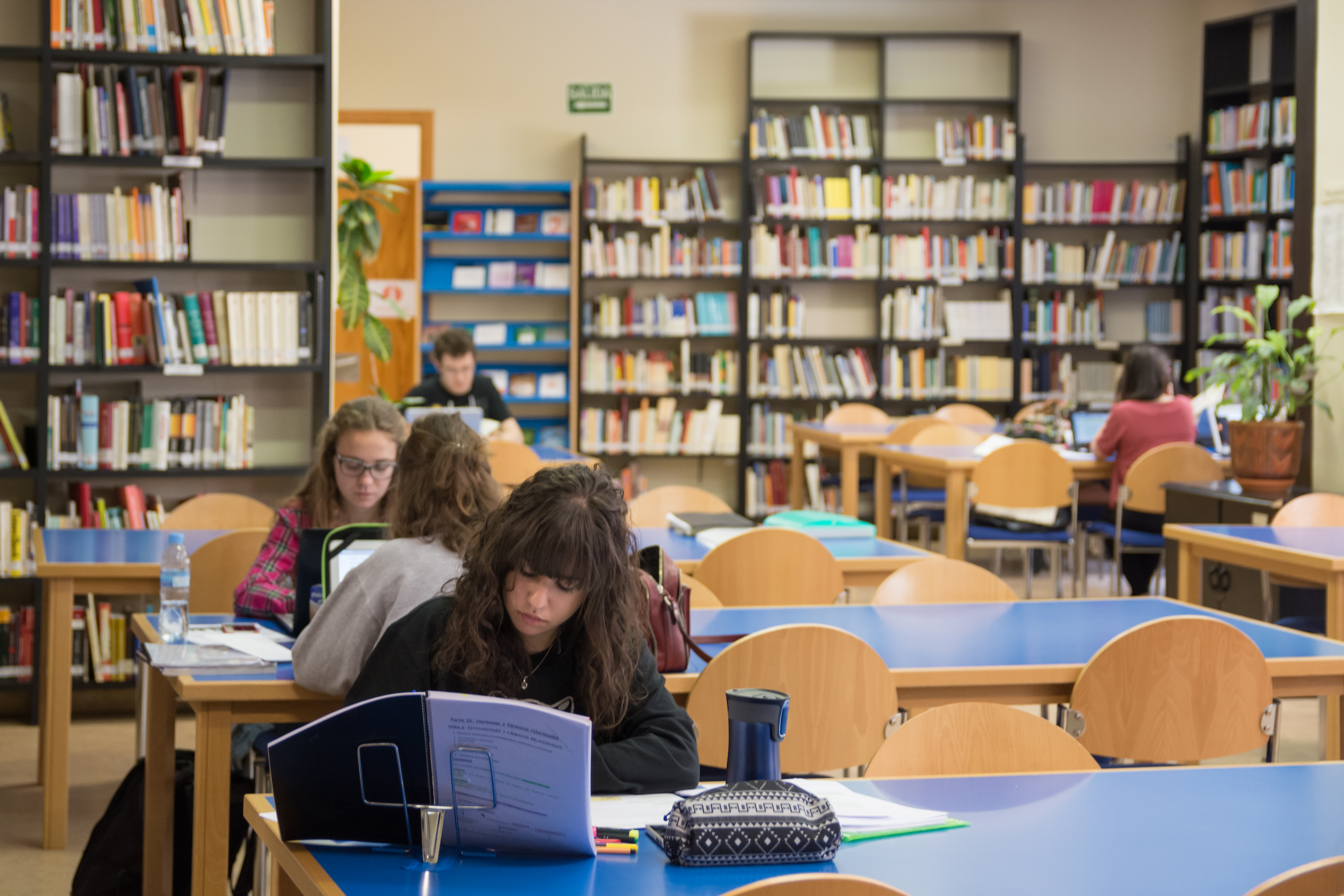 Alumnos universitarios estudian en la biblioteca