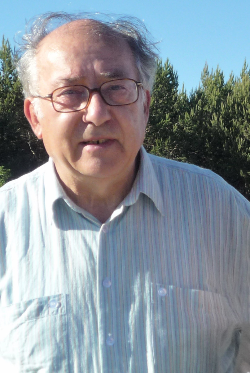 El profesor Valentín Cabero