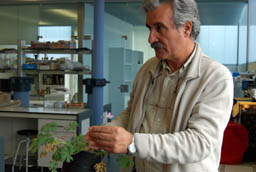 El Banco de Germoplasma de la Universidad de Salamanca protege ocho especies vegetales amenazadas de Castilla y León 