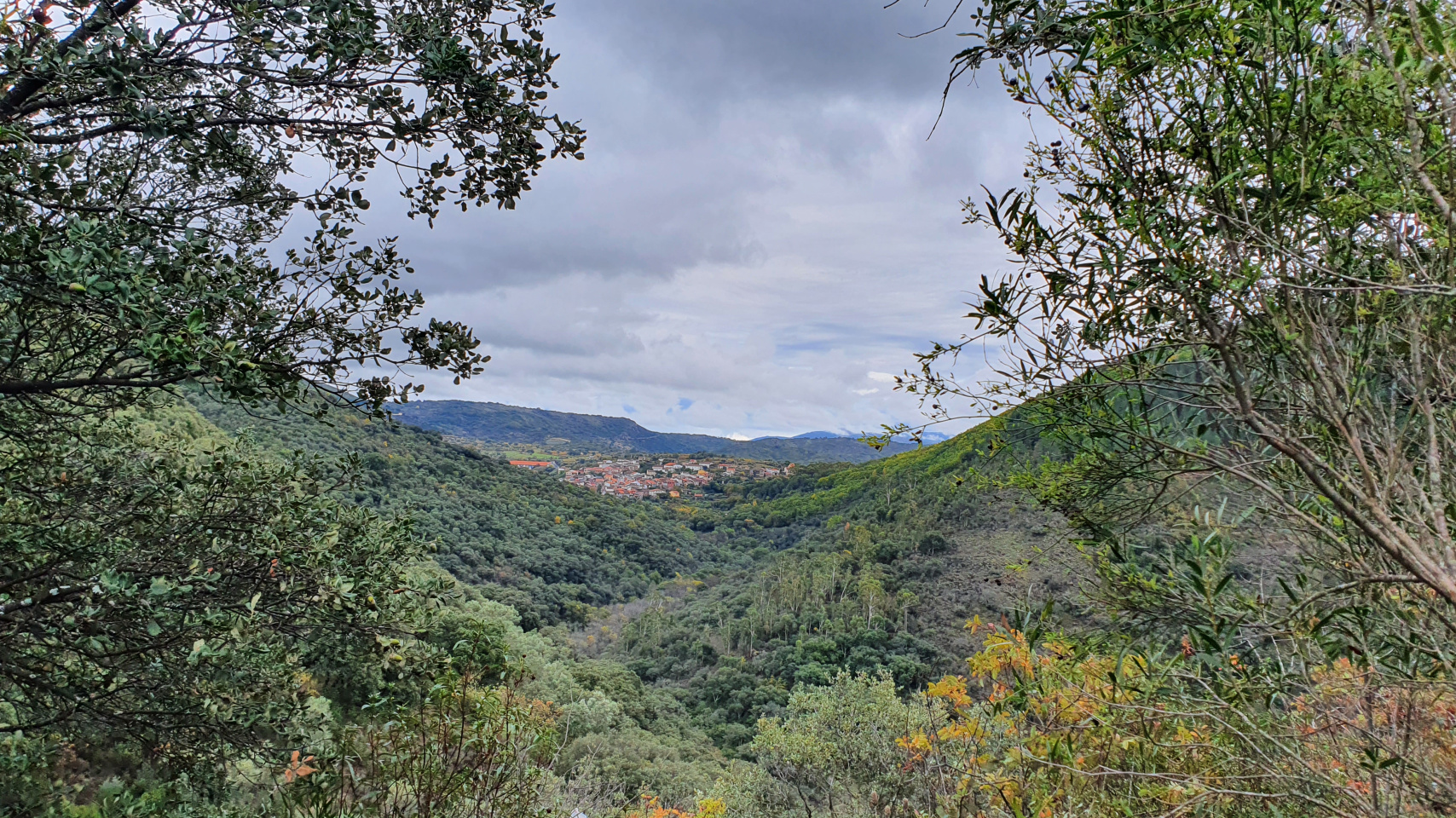 Accésit. David Montero Hernández