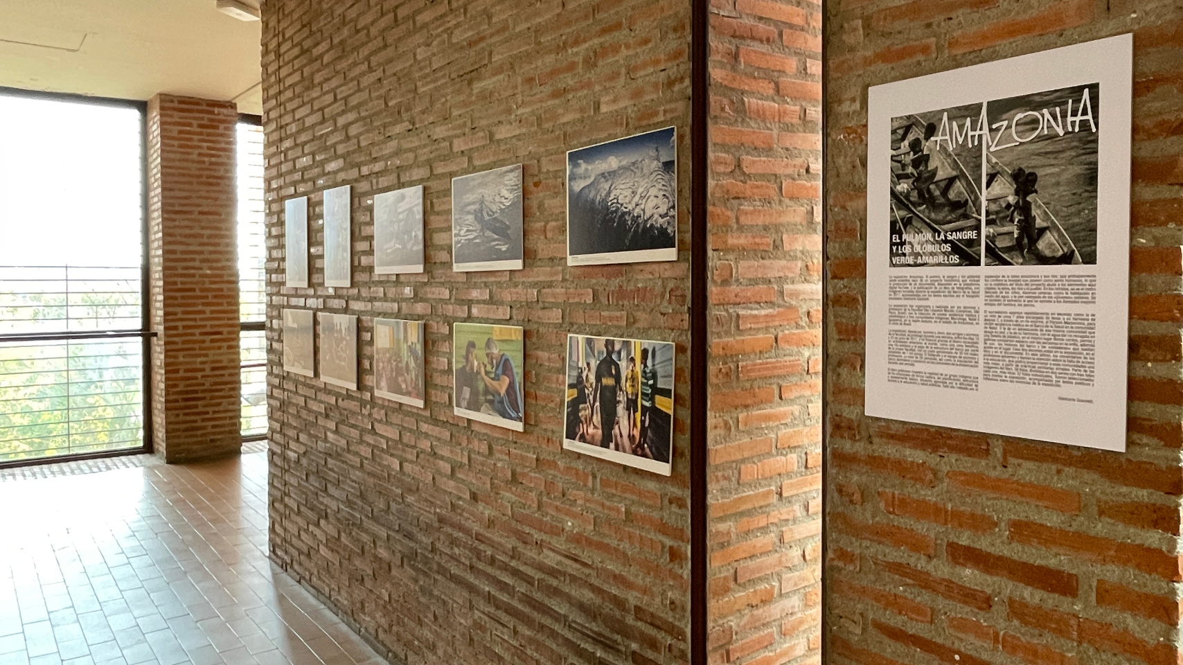 Exposición "Amazonas. El pulmón, la sangre y los glóbulos verde-amarillos" en la Facultad de Farmacia