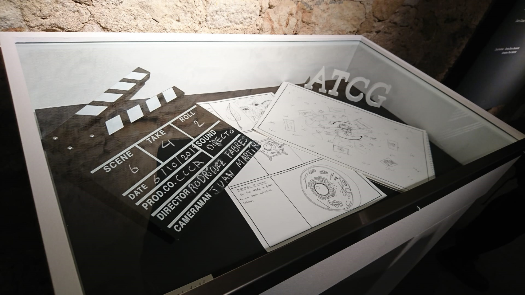 Exposición ‘Con-Ciencia-Con-Arte’