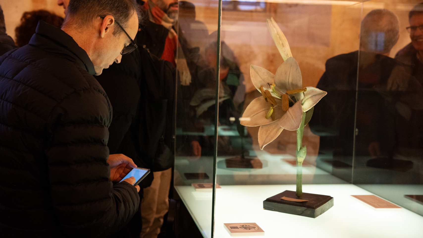 Asistentes disfrutan de la muestra "Flor en un jardín de sueños".