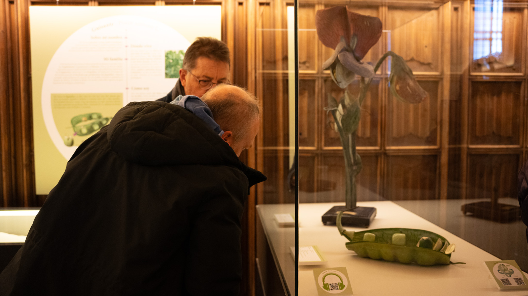 Asistentes disfrutan de la muestra "Flor en un jardín de sueños".