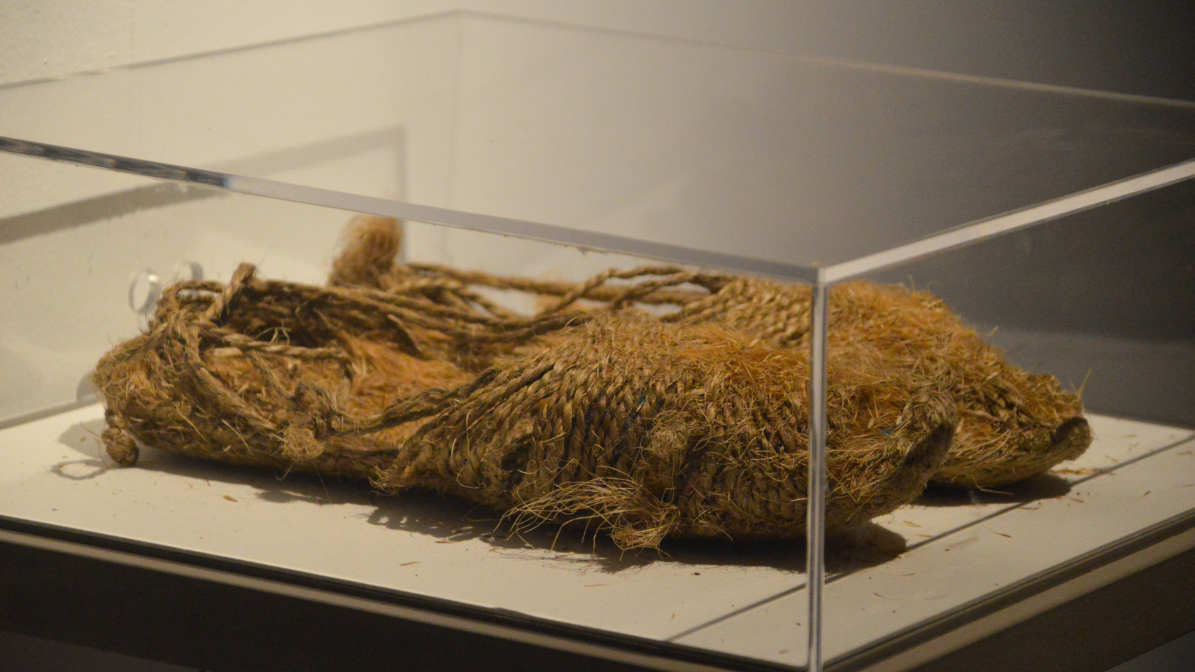 El artista salmantino Mario Valle plasma en la exposición ‘Habitares’ las facetas más animales del ser humano y su relación con el medio