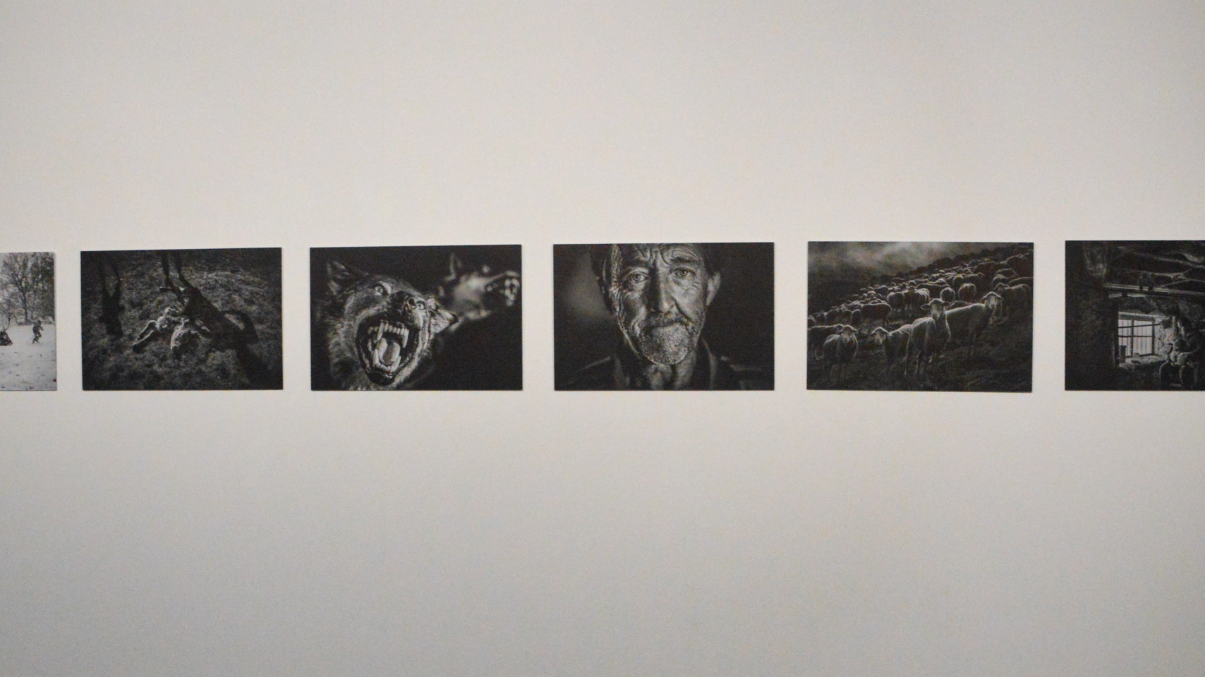 La exposición internacional de fotografía Transversalidades regresa a Salamanca