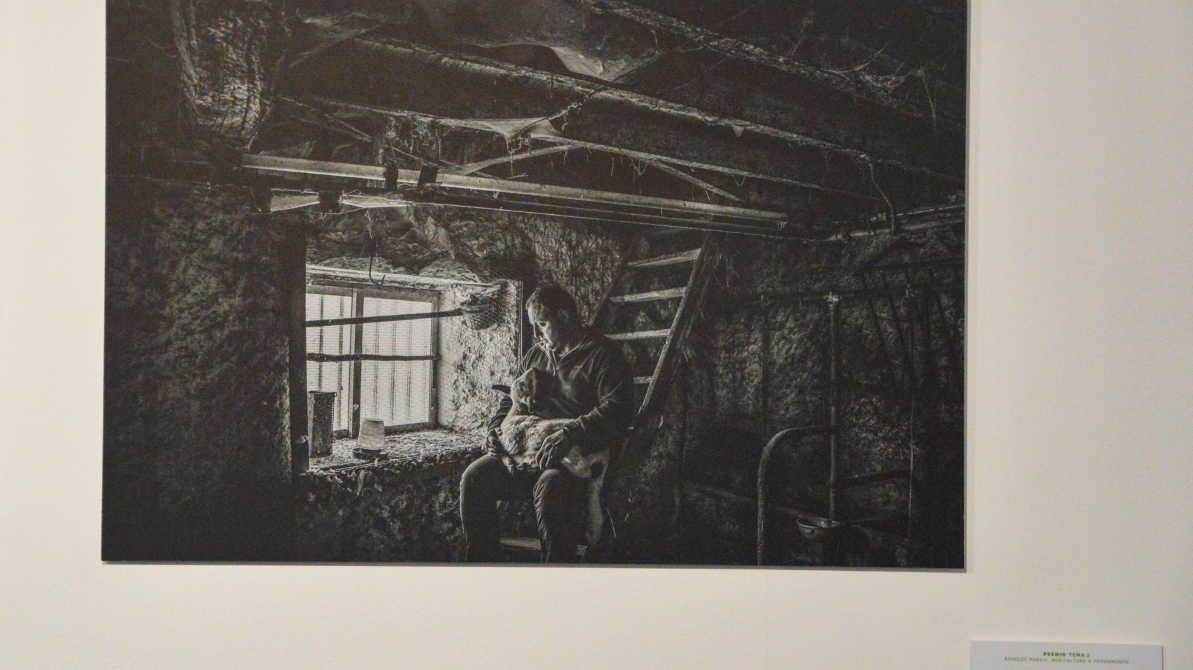 La exposición internacional de fotografía Transversalidades regresa a Salamanca