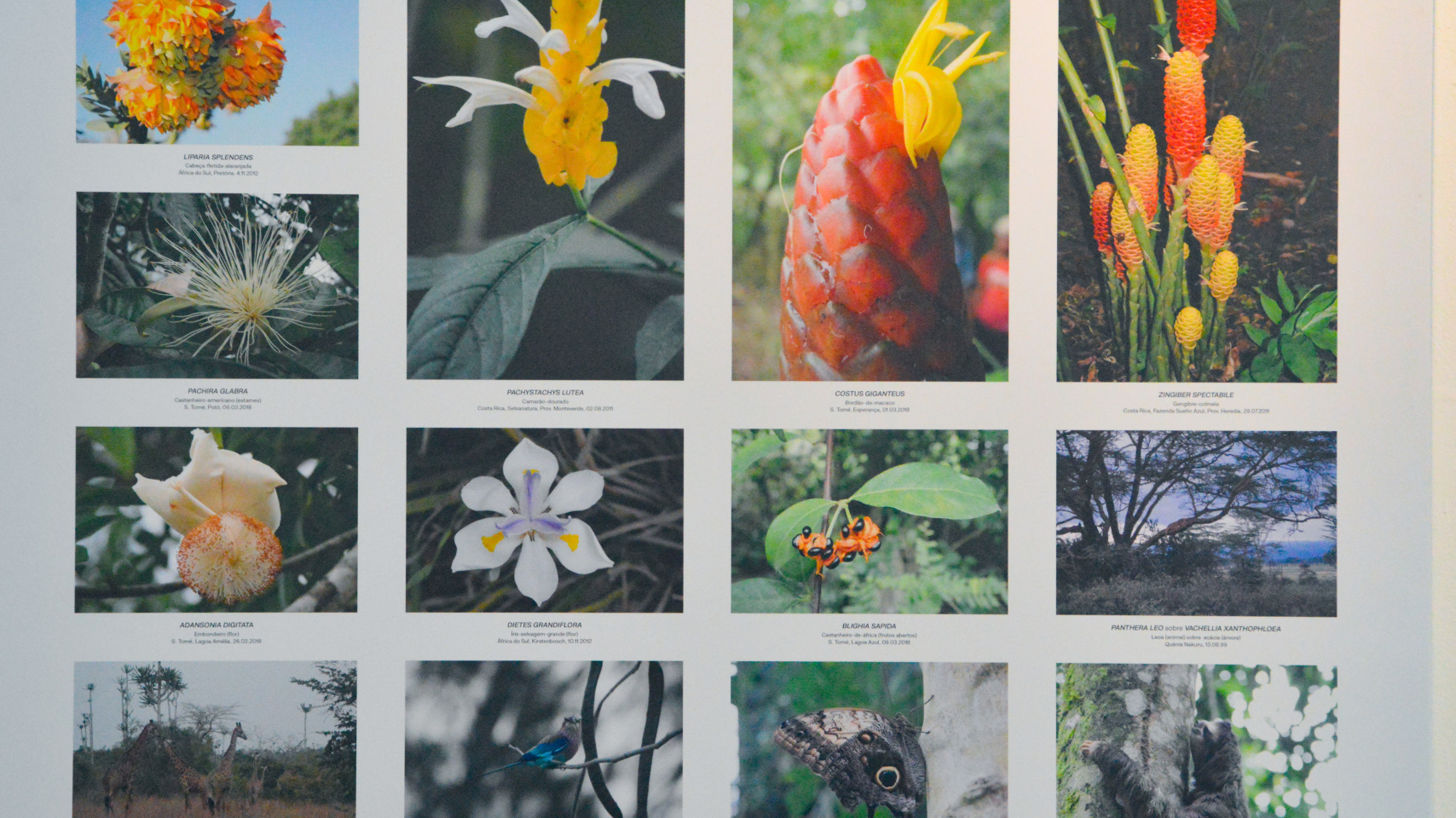 La exposición internacional de fotografía Transversalidades regresa a Salamanca