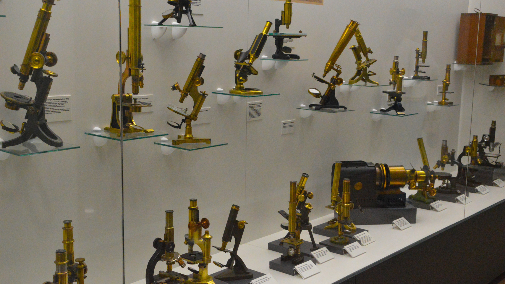 La Facultad de Medicina acoge la colección de microscopios de Eliseo Carrascal integrada por 186 piezas