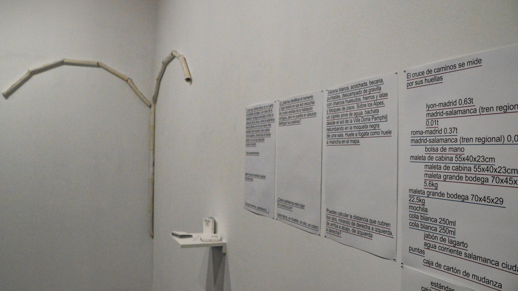 Exposición "Una habitación compartida"