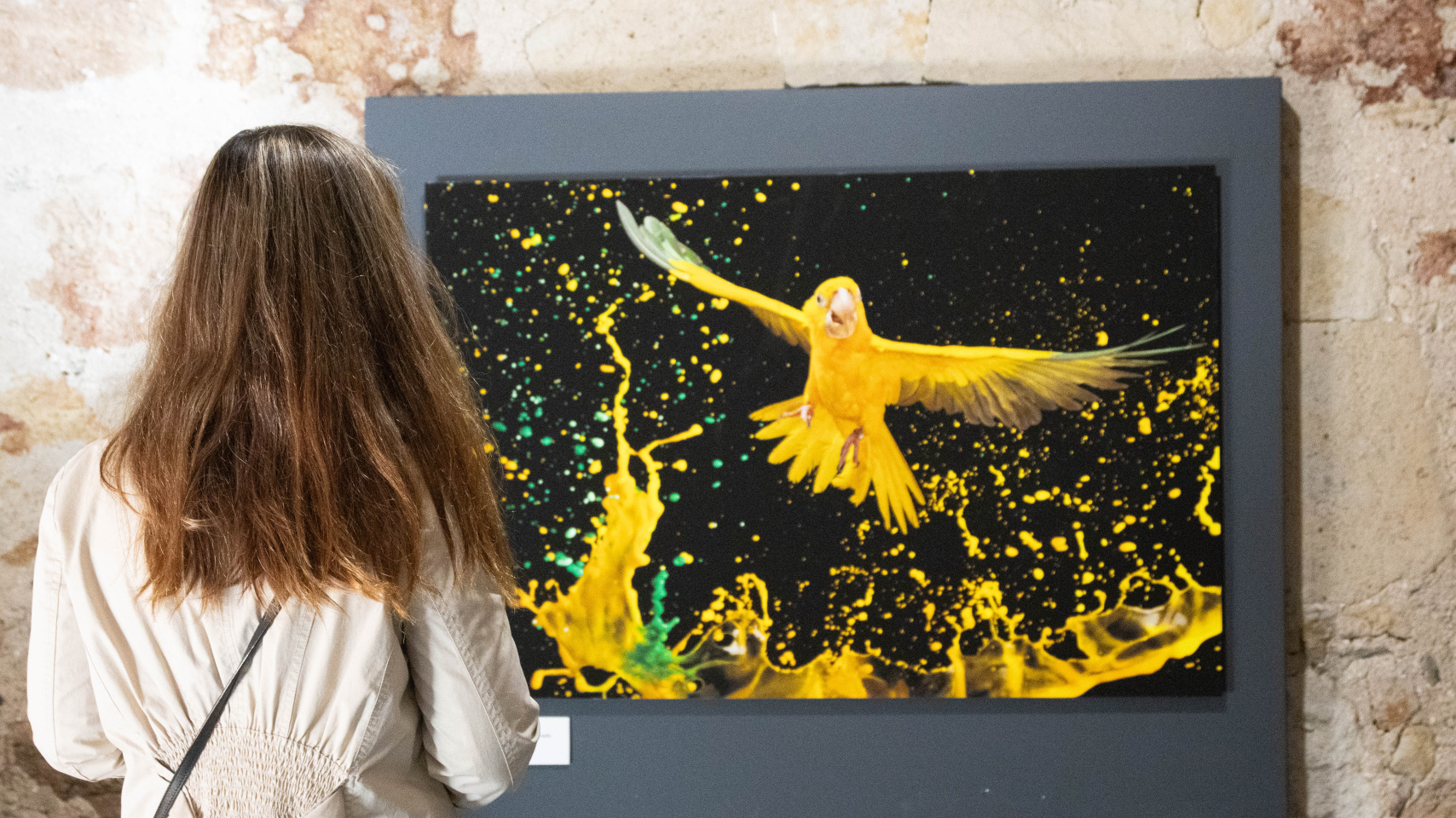 Imágenes de la exposición "Belleza Amenazada"