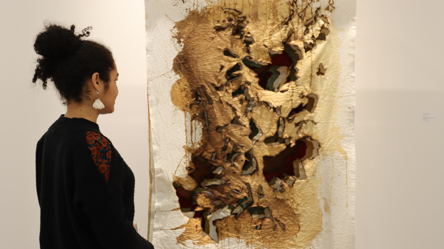 Acto inaugural  "Salaseis" en Facultad de Bellas Artes