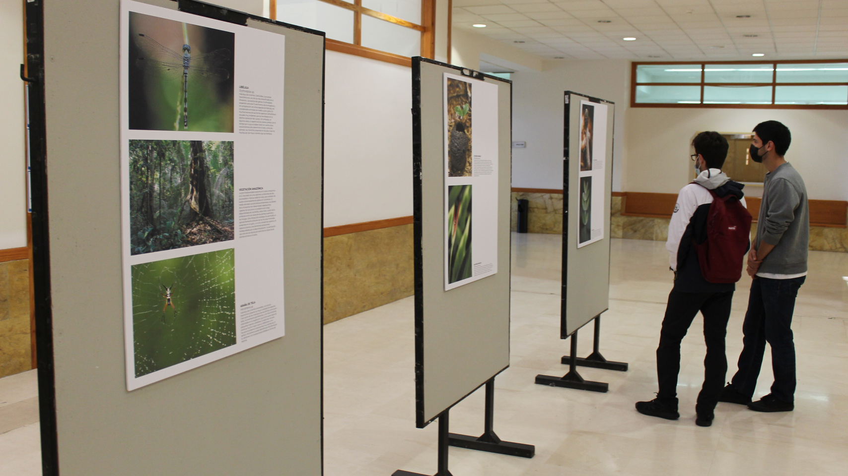 El Campus Unamuno acoge la exposición fotográfica ‘La luz en los ecosistemas forestales amazónicos’
