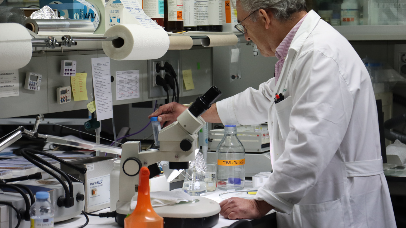 Instituto de Neurociencias de Castilla y León (INCYL)