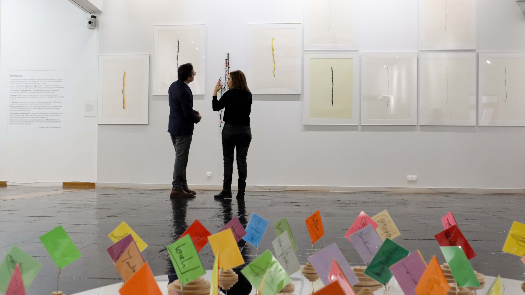 El rector Juan Manuel Corchado y la artista Concha Sáez visitan la exposición "Sincronía"