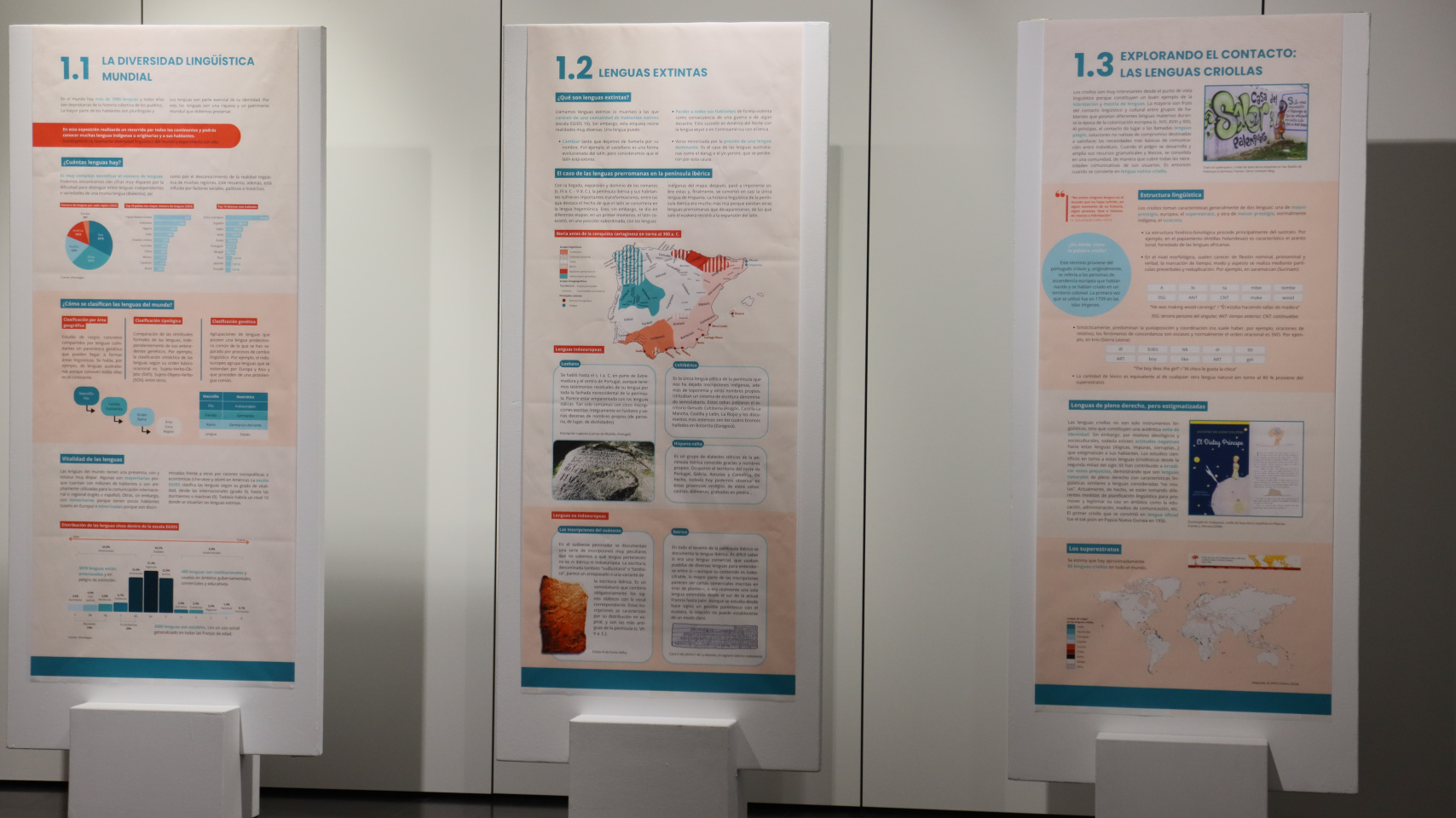 Presentación  ‘Semana Diversiling’ en el Centro Internacional del Español