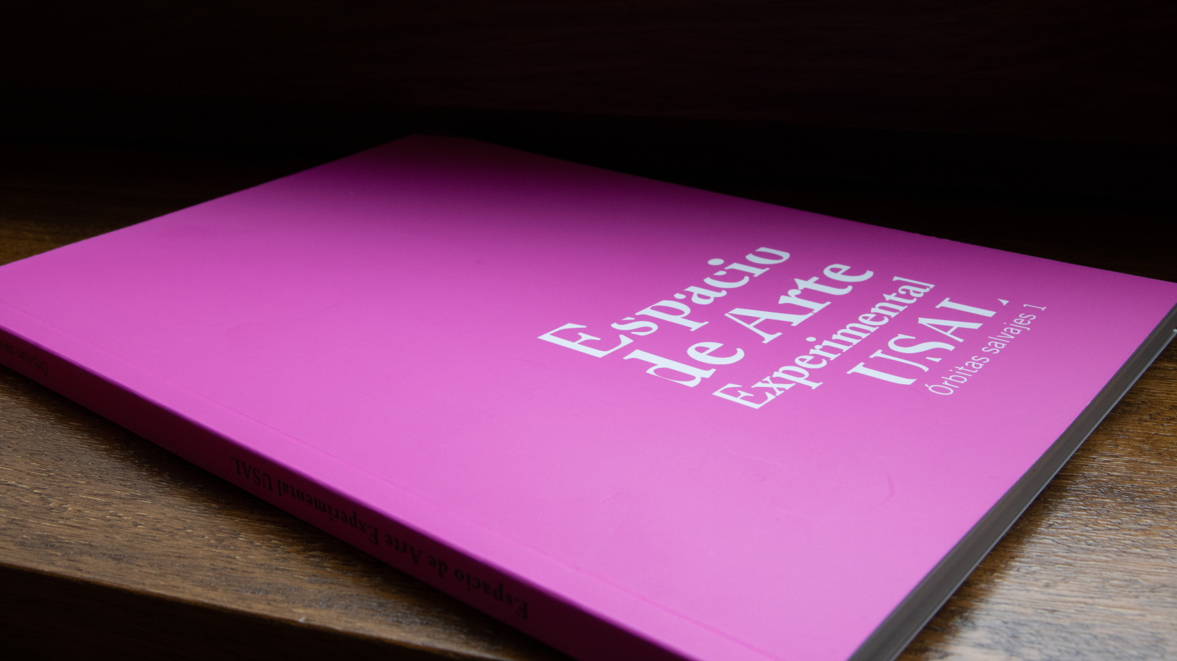 Catálogo 'Órbitas salvajes 1'