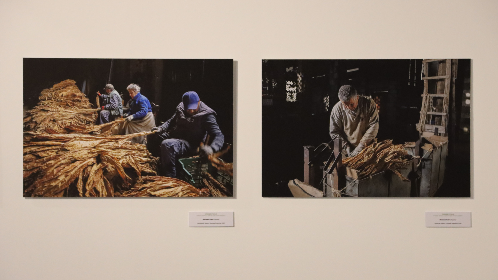 Exposición de las obras ganadoras de la duodécima edición del concurso anual de fotografía “Transversalidades. Fotografía sin fronteras”