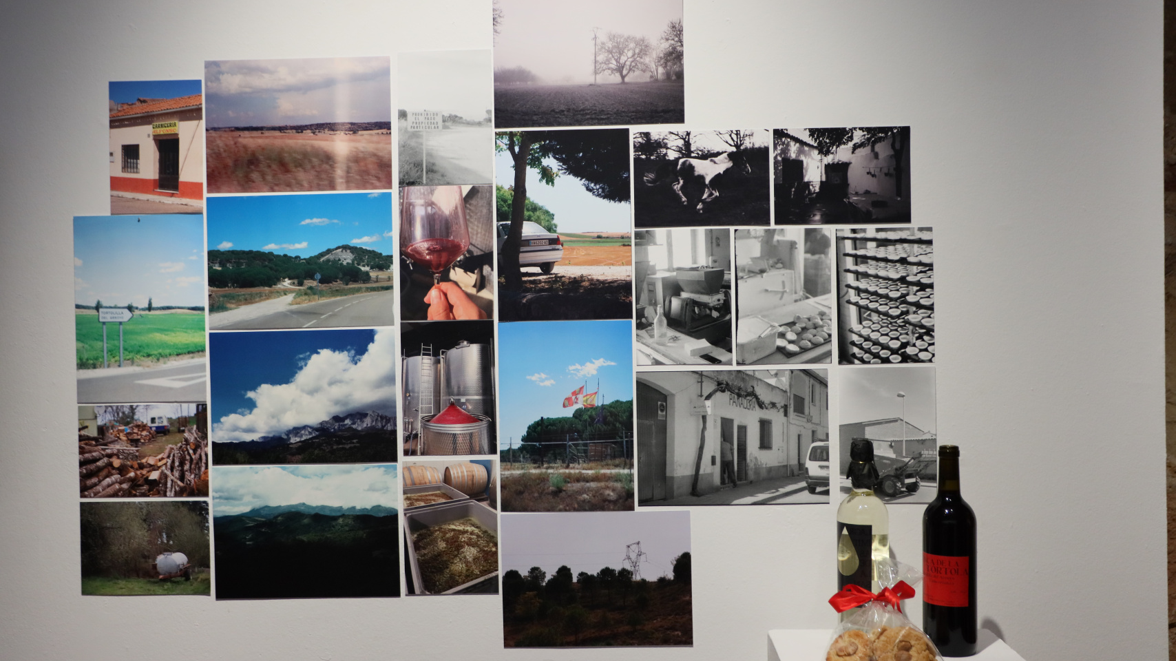 Exposición 'The Tortolilla project'