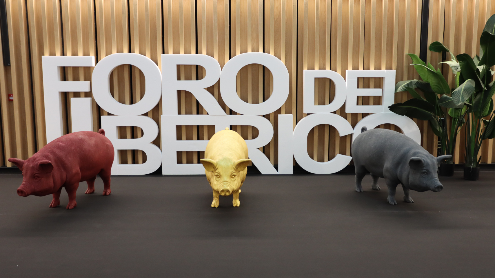 IV Foro Internacional del Ibérico