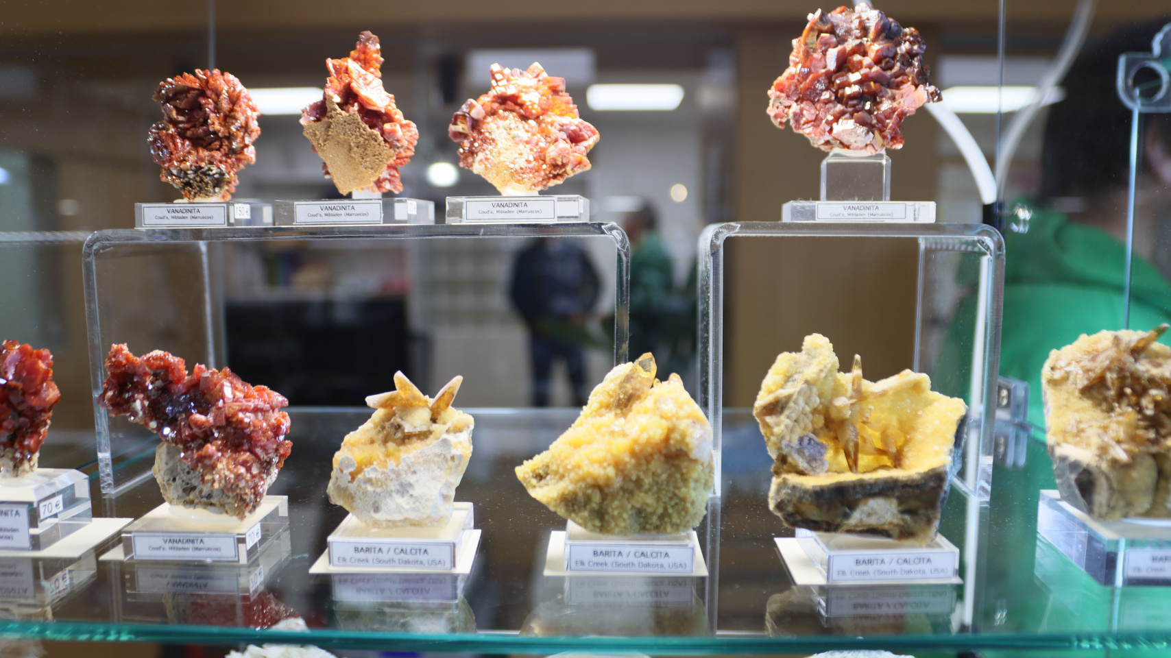 El Departamento de Geología de la Universidad de Salamanca inaugura la VIII Feria de Minerales