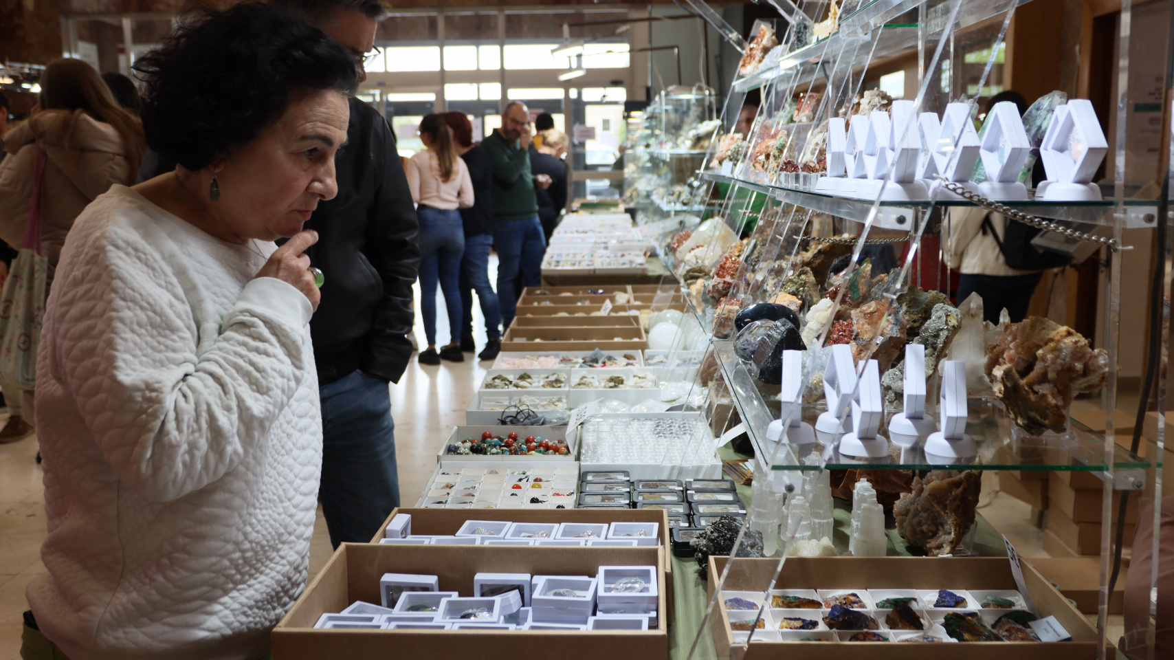 El Departamento de Geología de la Universidad de Salamanca inaugura la VIII Feria de Minerales