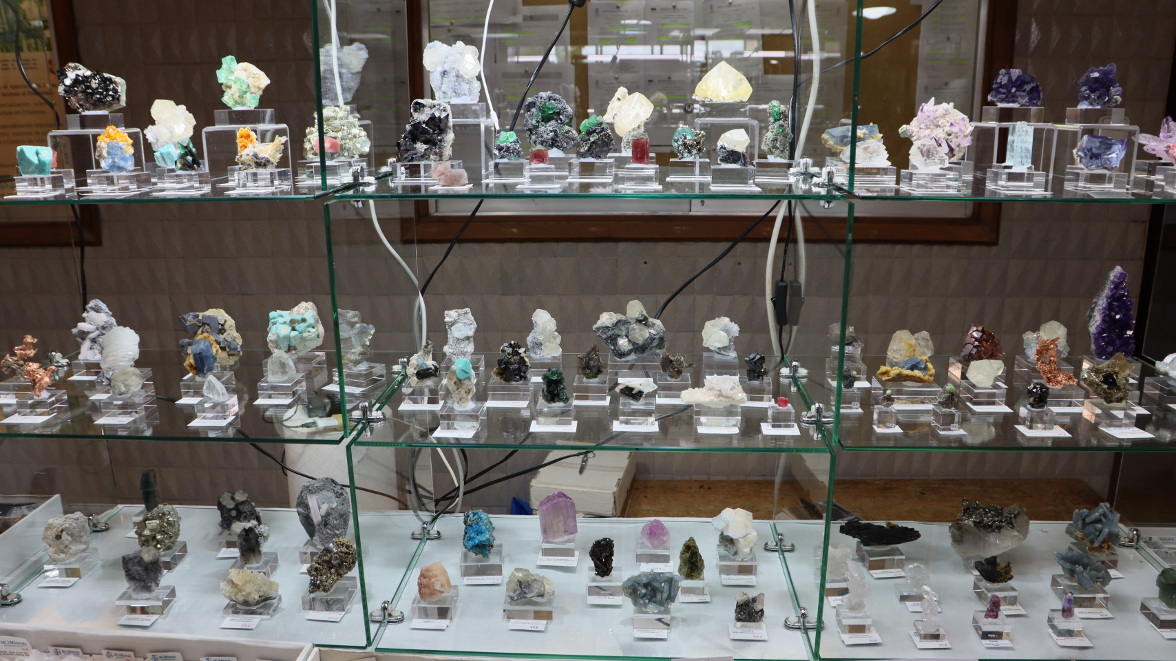 El Departamento de Geología de la Universidad de Salamanca inaugura la VIII Feria de Minerales