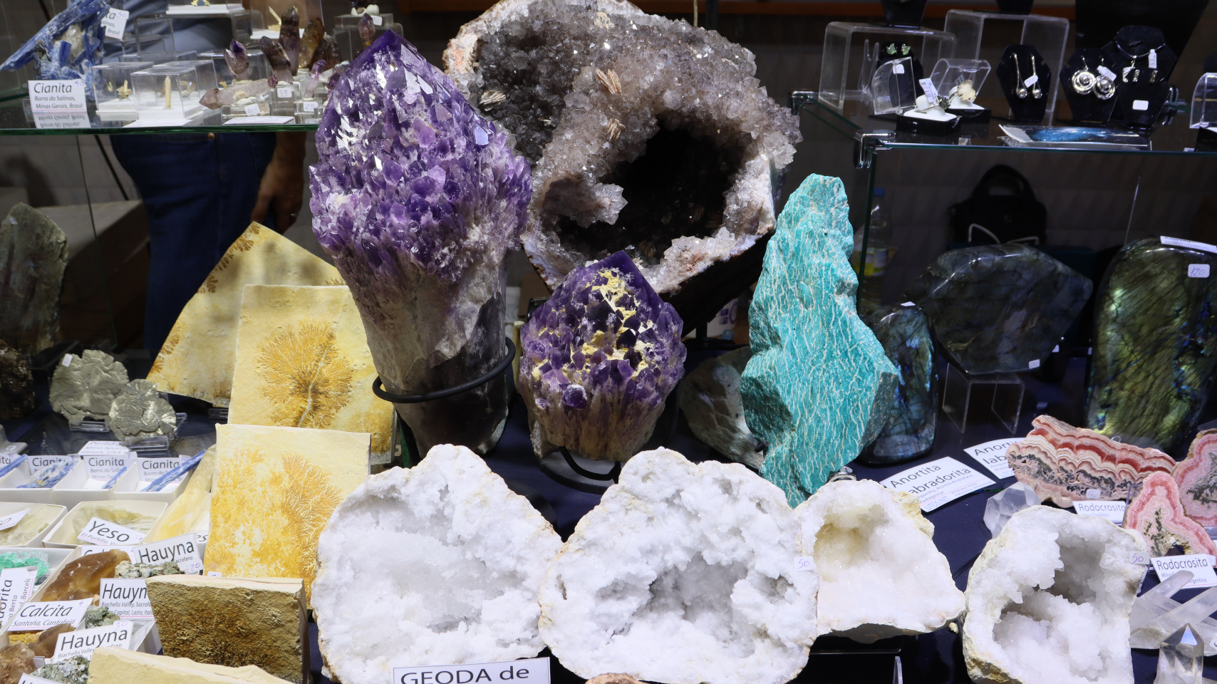 El Departamento de Geología de la Universidad de Salamanca inaugura la VIII Feria de Minerales