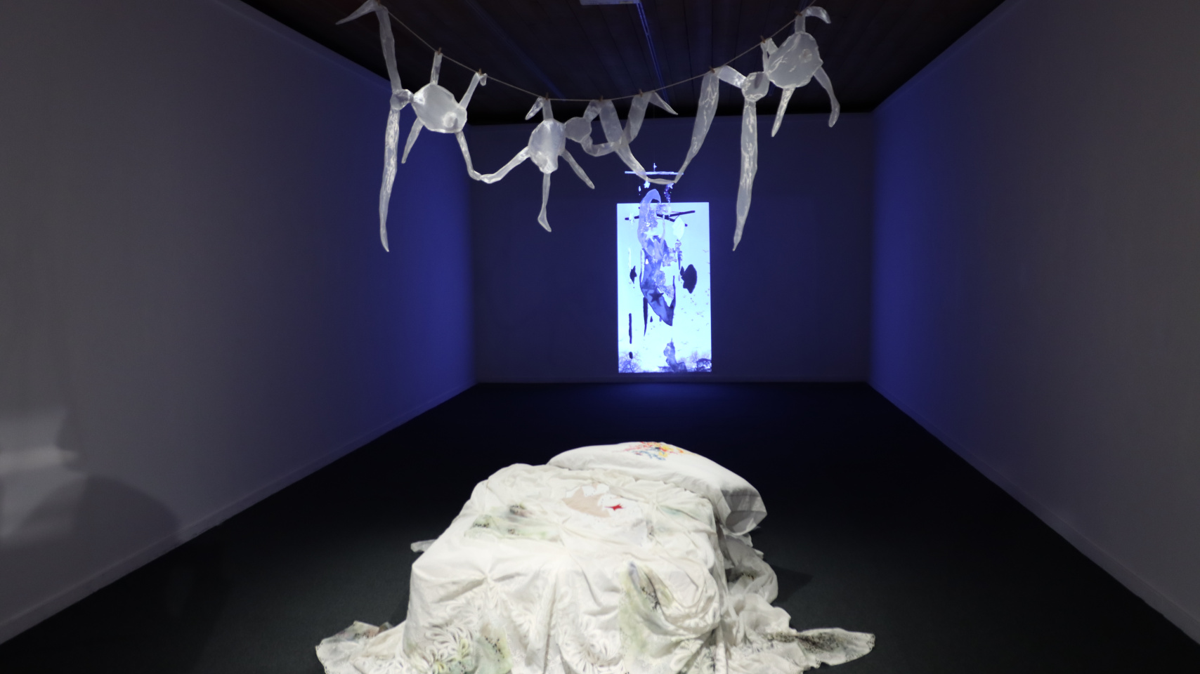 Exposición ‘De lo sideral a lo visceral’ en el Espacio de arte Experimental de la Hospedería Fonseca.