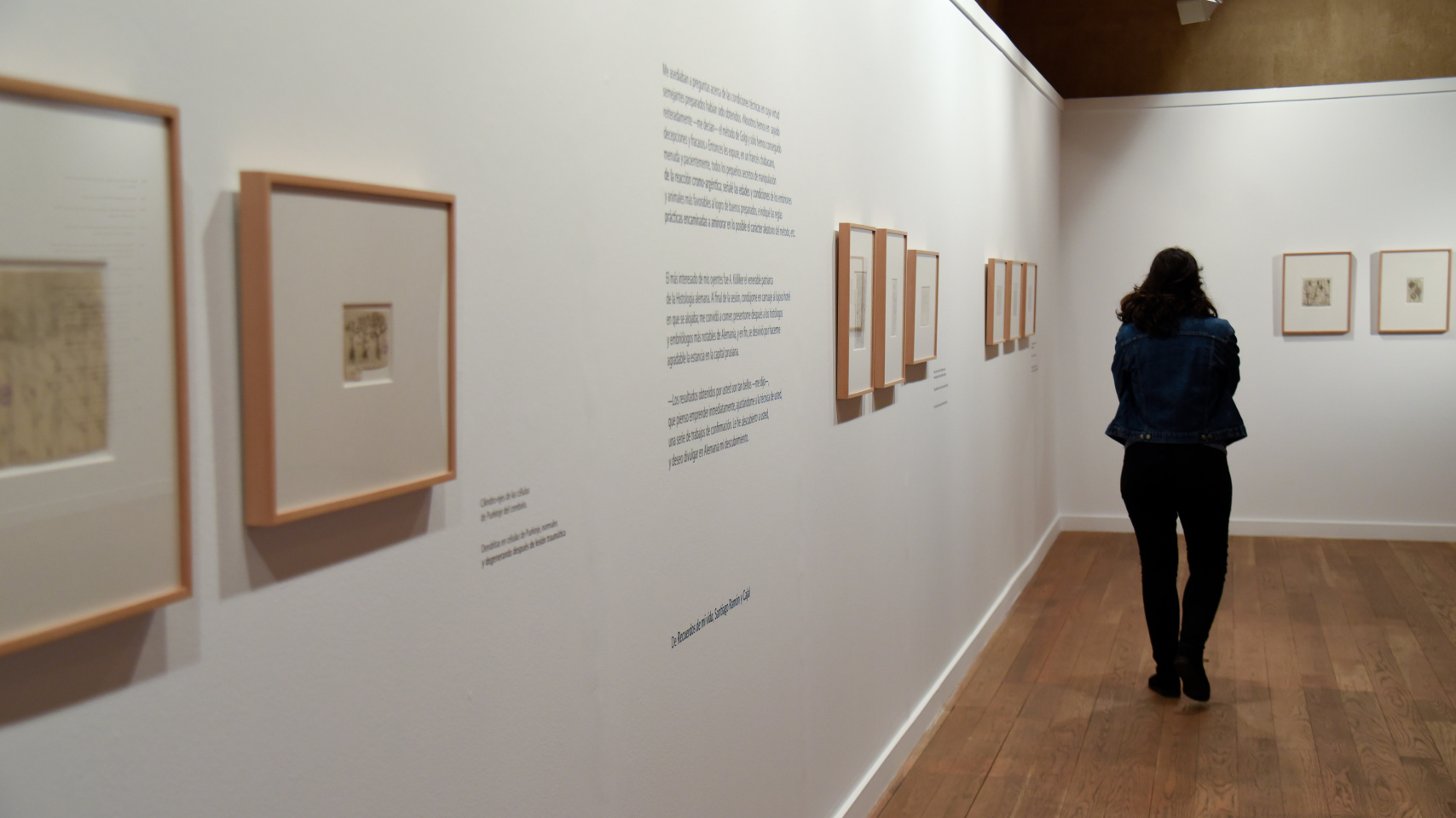 Detalle de la exposición