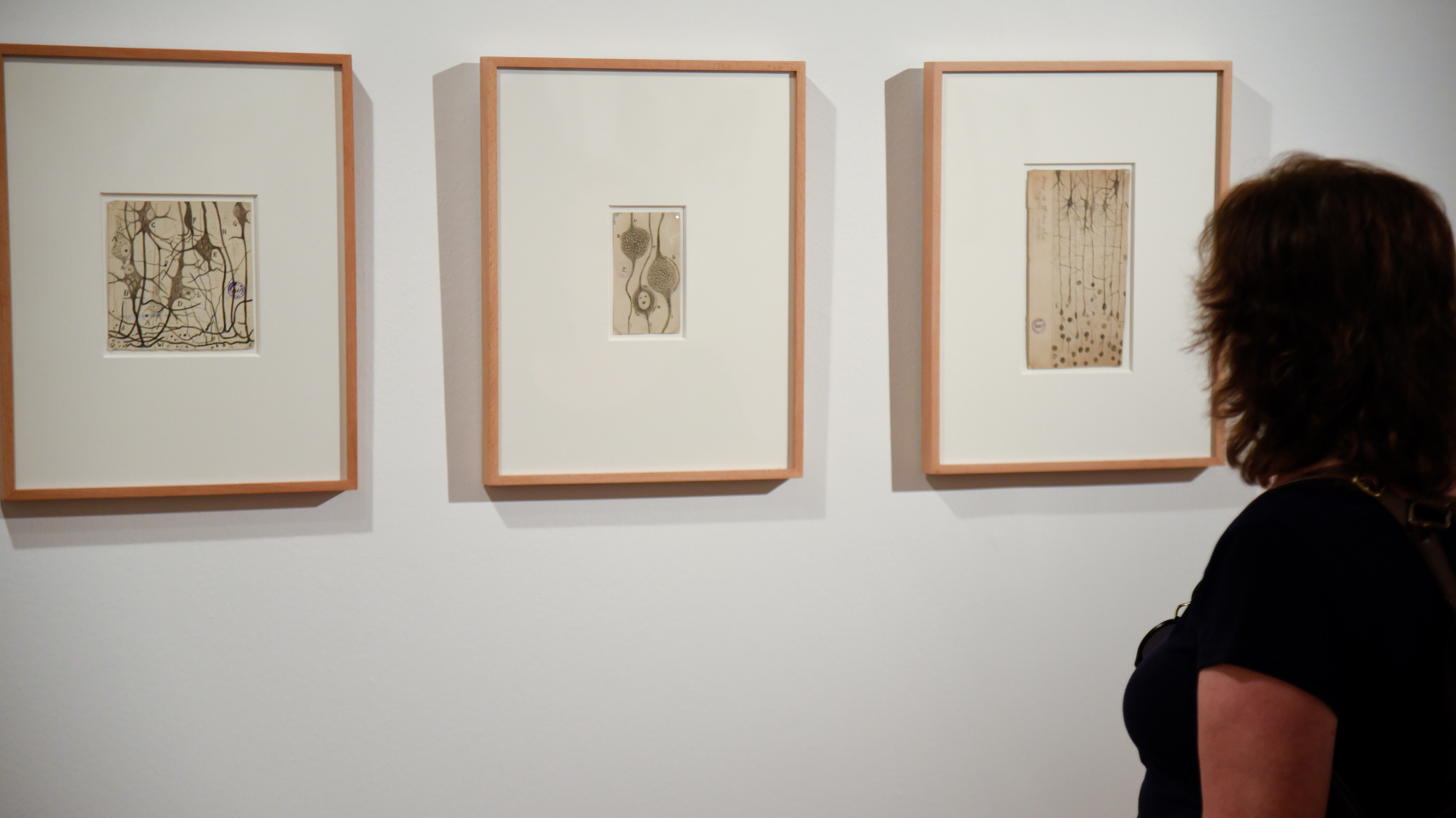 Detalle de la exposición