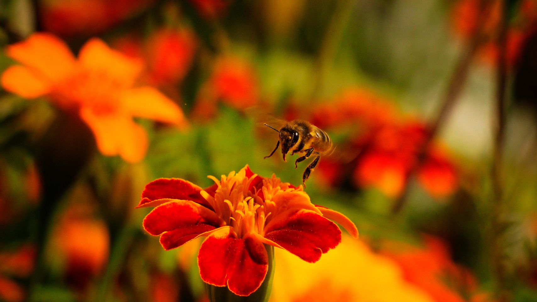 Primer Premio. Santiago Rodríguez Crego.
