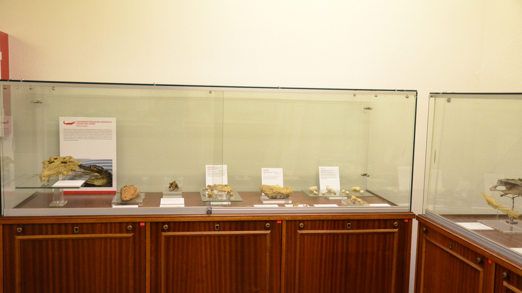 La Facultad de Ciencias homenajea al impulsor de la Sala de las Tortugas