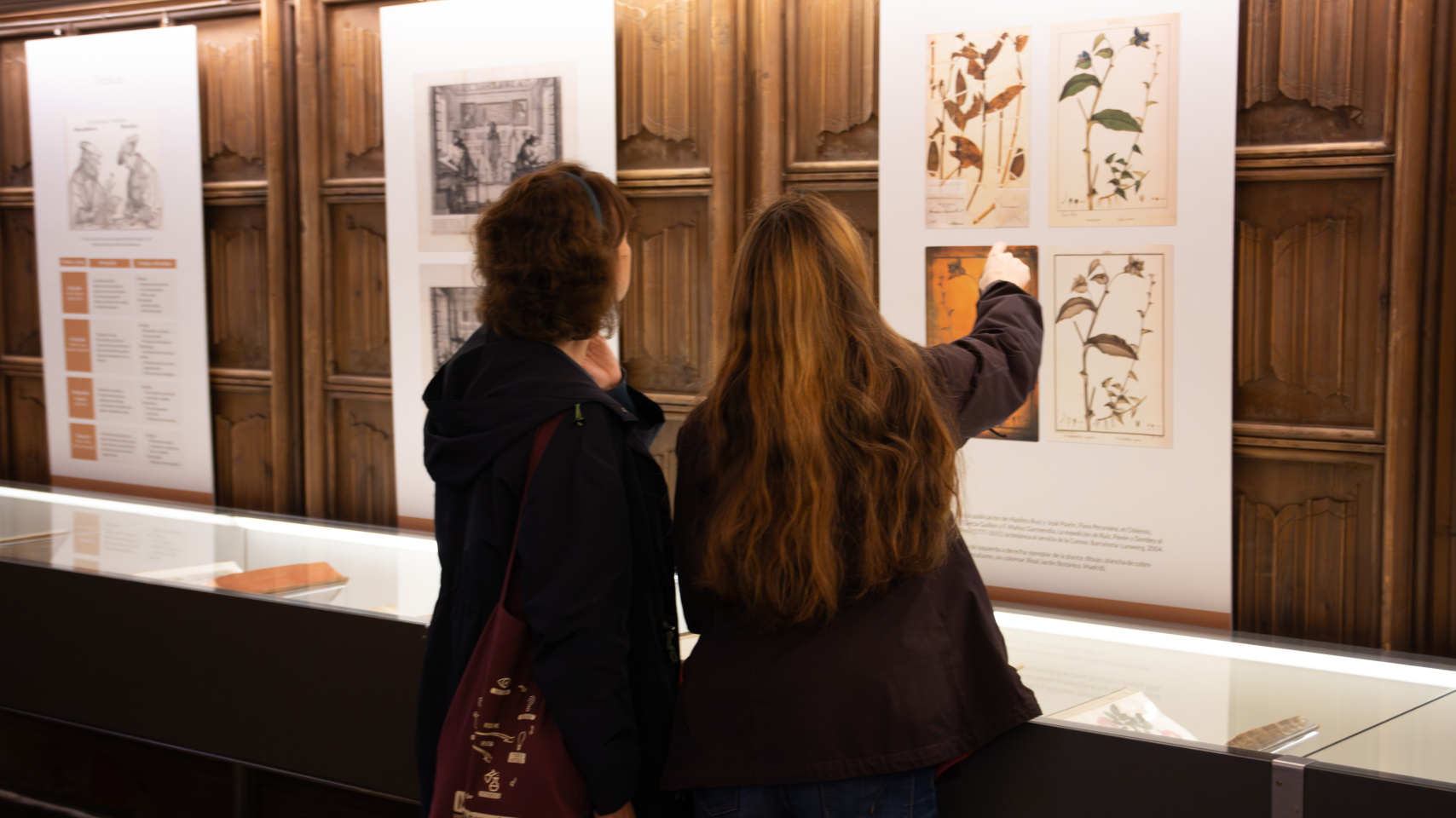 Exposición "Pictura fallax. La ilustración botánica en la Biblioteca Histórica" en la Sala de la Columna de las Escuelas Mayores de la Universidad de Salamanca