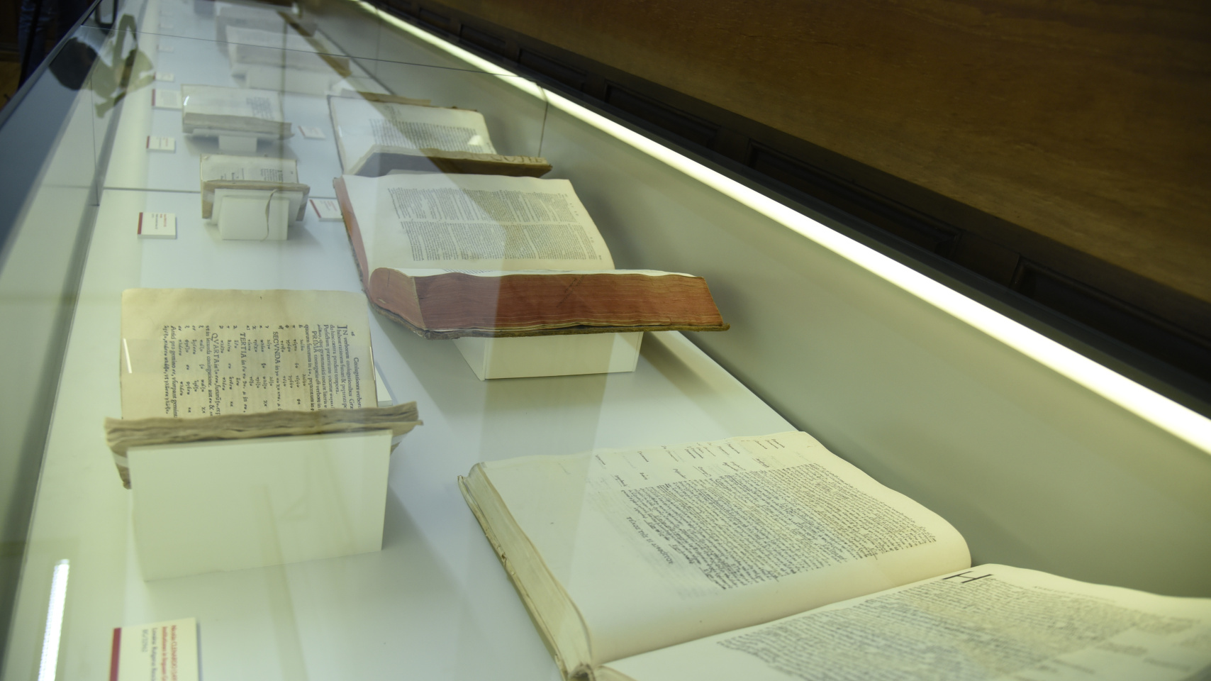 El muestrario disponible para la visita.