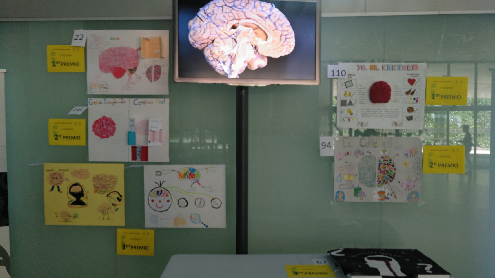 Muestra de los dibujos premiados en el concurso