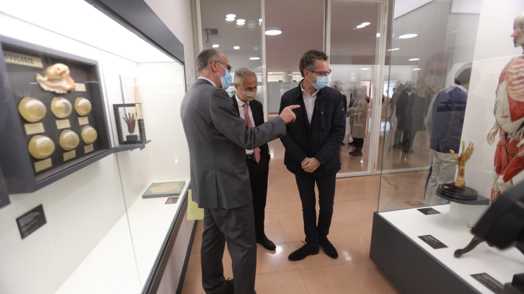 La Facultad de Medicina inaugura una exposición permanente de figuras anatómicas de cera