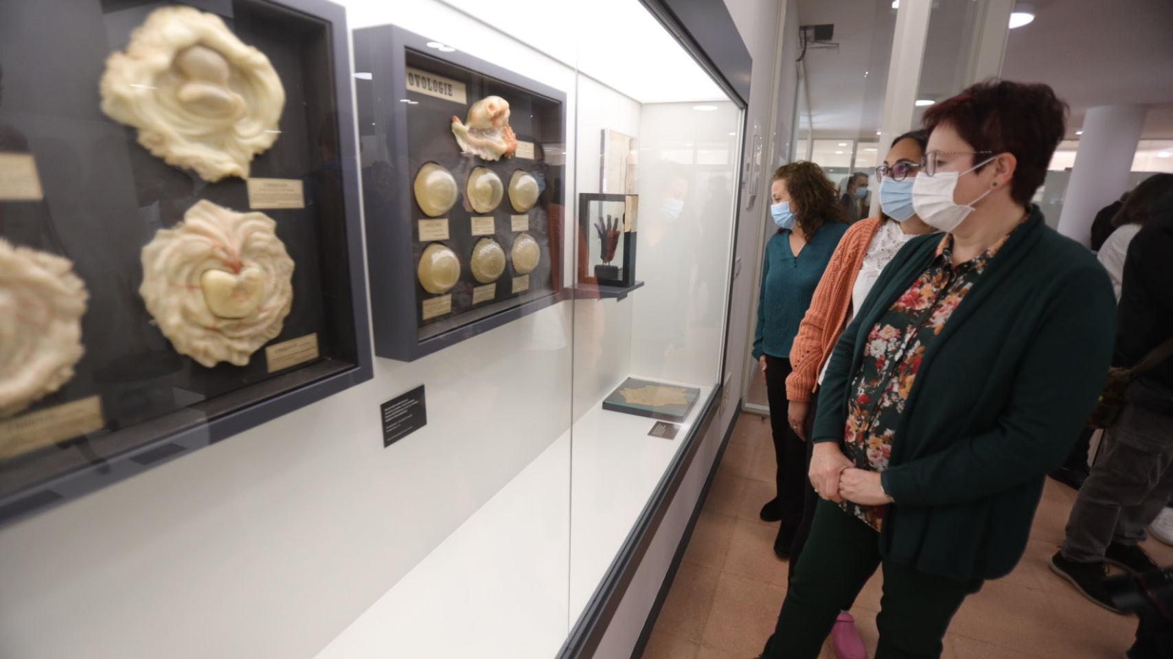 La Facultad de Medicina inaugura una exposición permanente de figuras anatómicas de cera