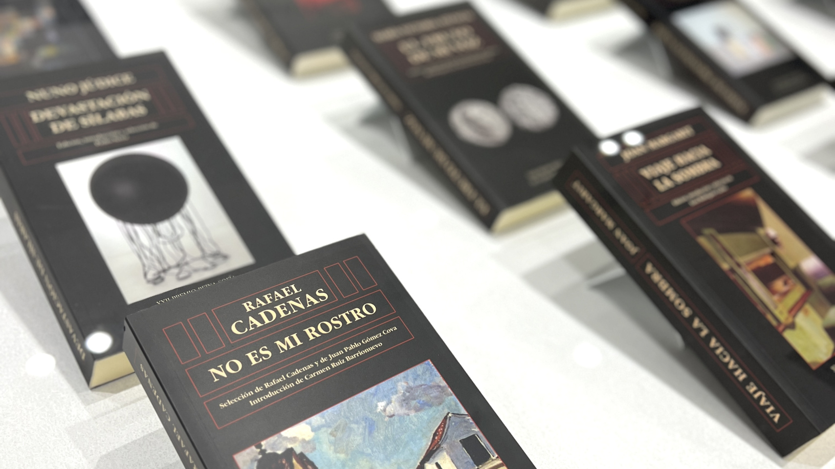 Ediciones Universidad de Salamanca presenta en el Centro Comercial El Tormes una exposición sobre el Premio Reina Sofía de Poesía Iberoamericana