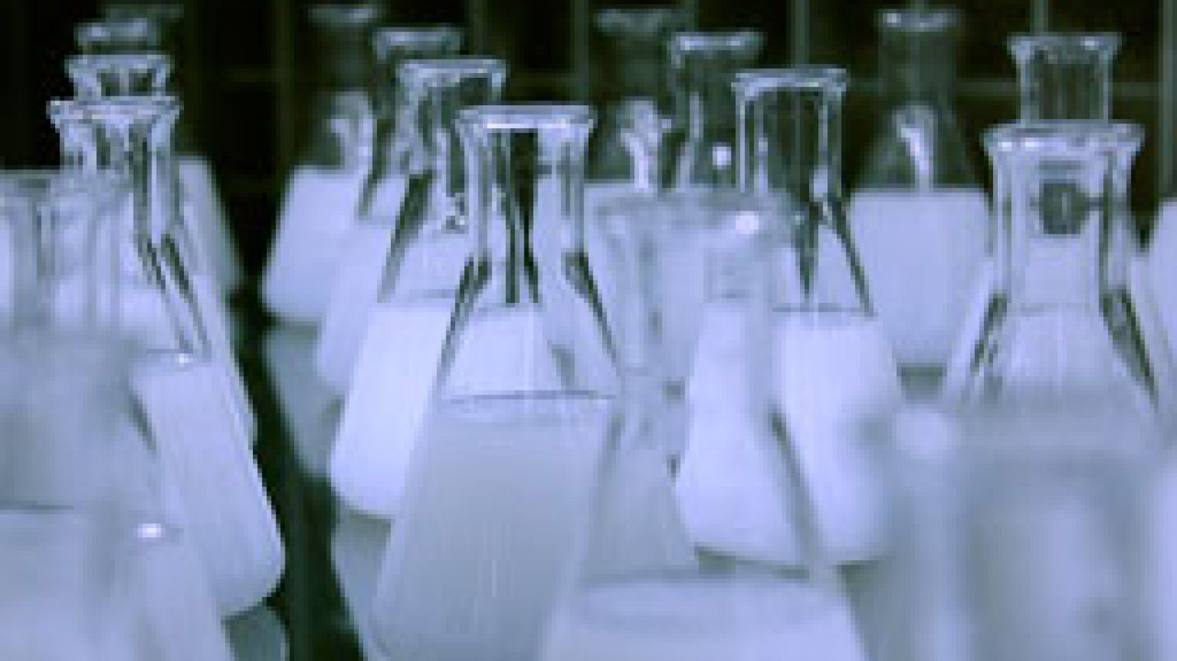 Fotografía de Doctorado 3