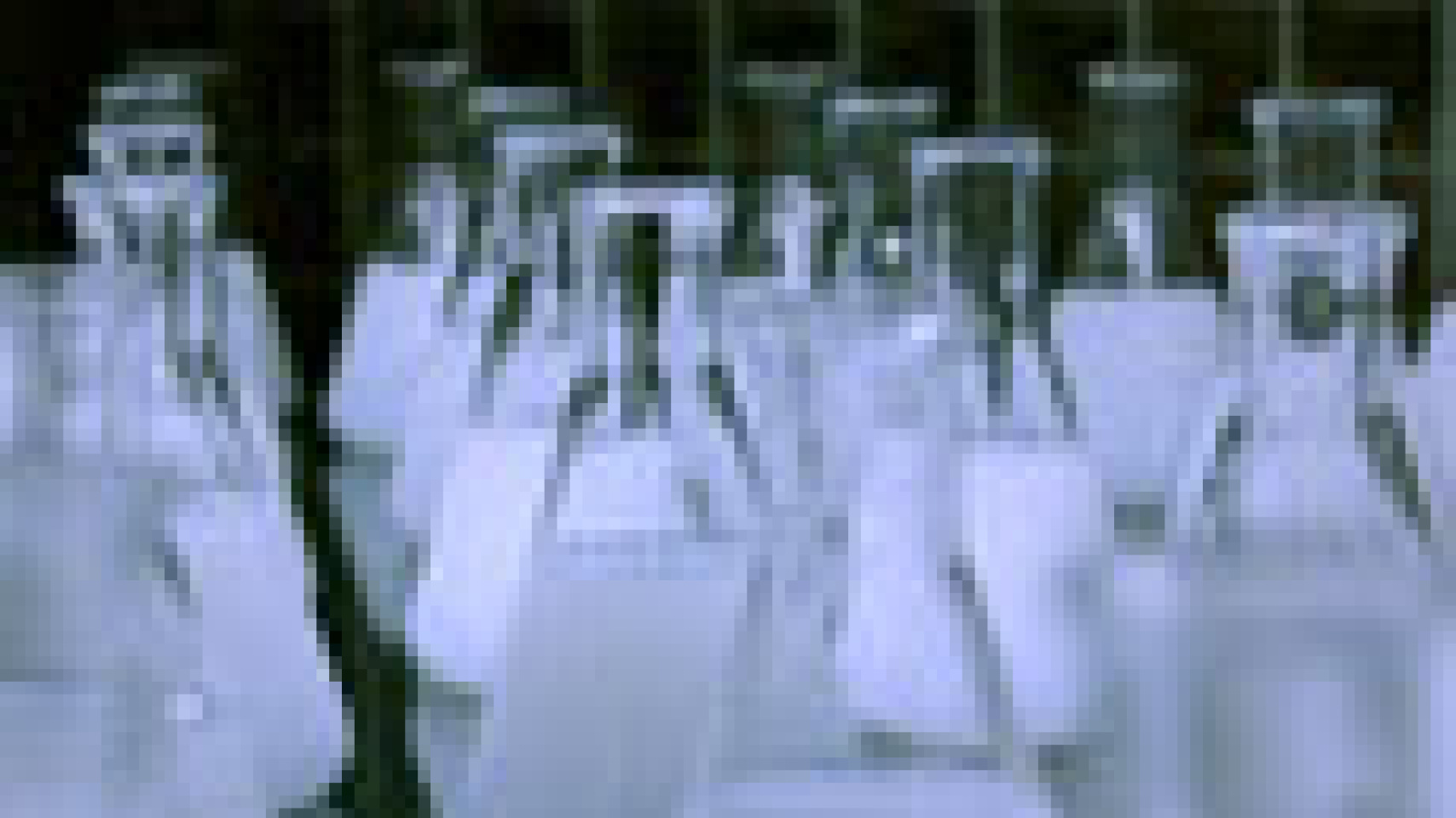 Fotografía de Doctorado 4