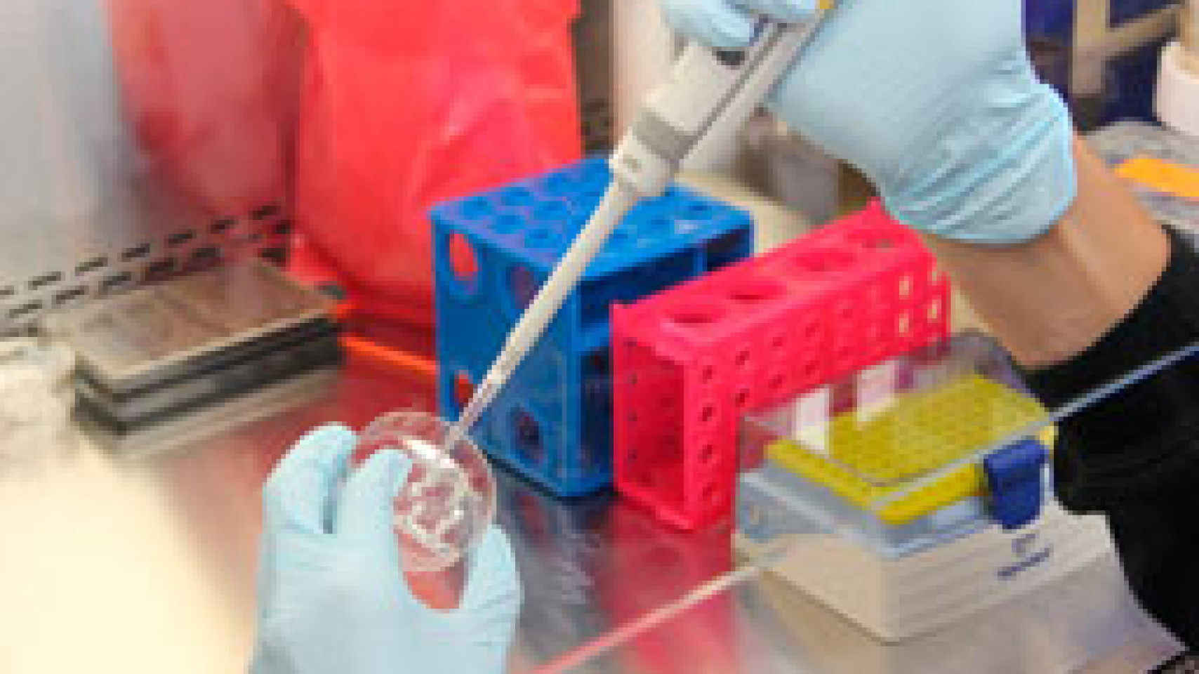 Momento de la votación del Claustro de Doctores.