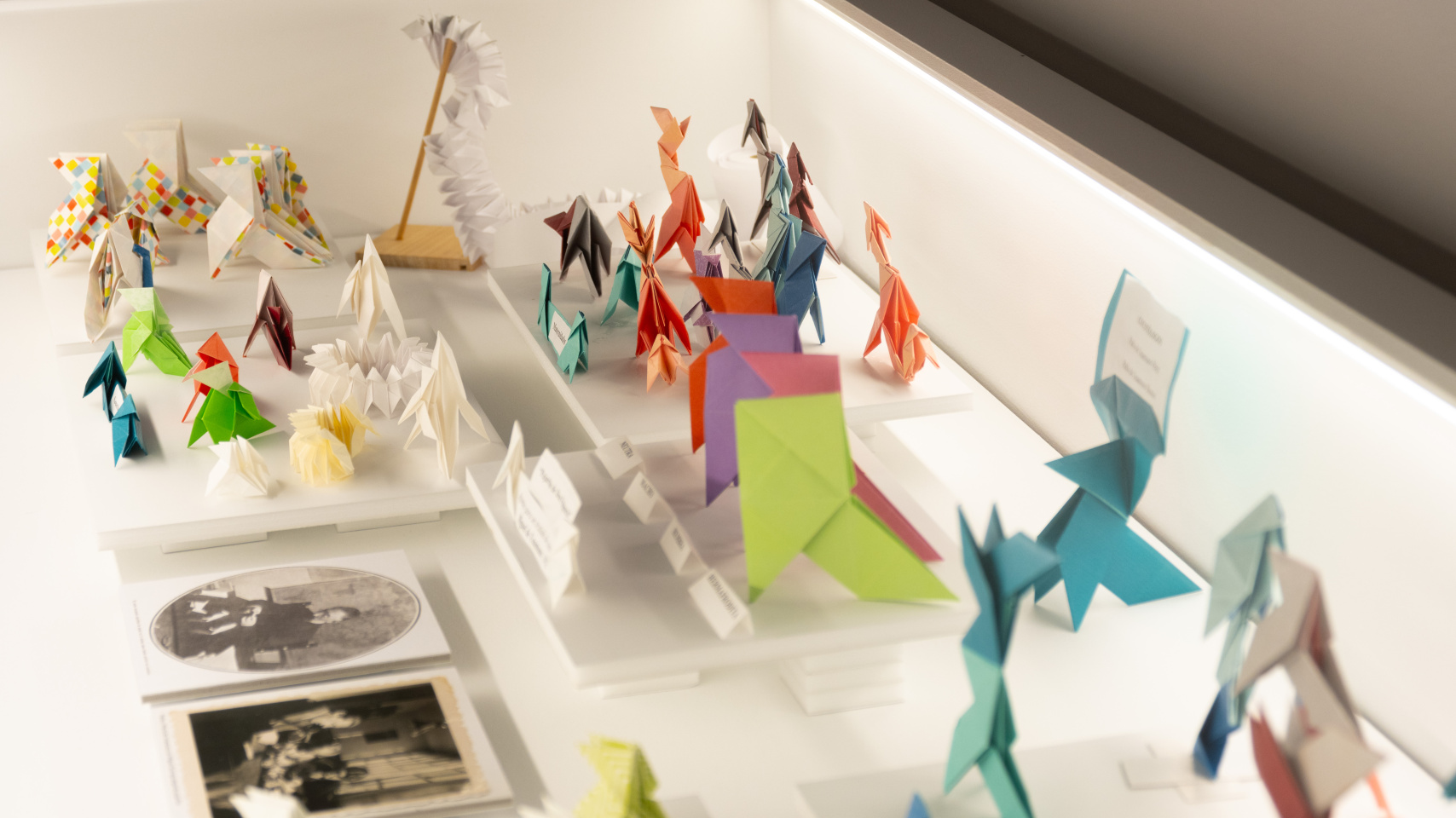 Parte de la exposición "Las pajaritas de mi abuelo"