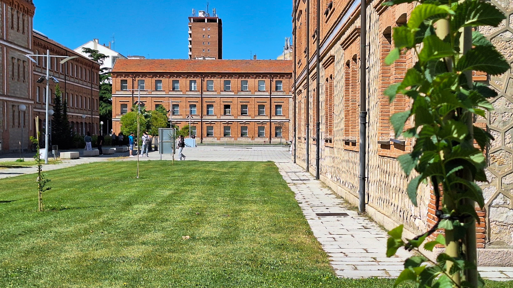 El Campus Viriato tras la plantación de olmos en conmemoración del Día Mundial del Medio Ambiente