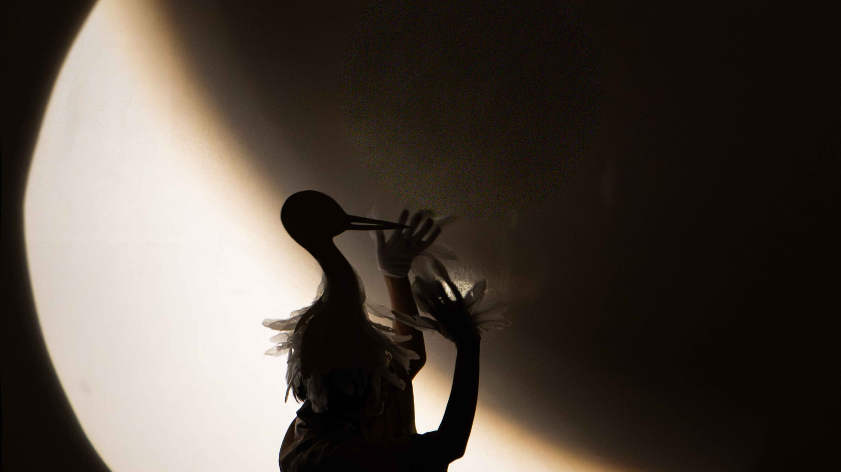 Espectáculo de luces y sombras