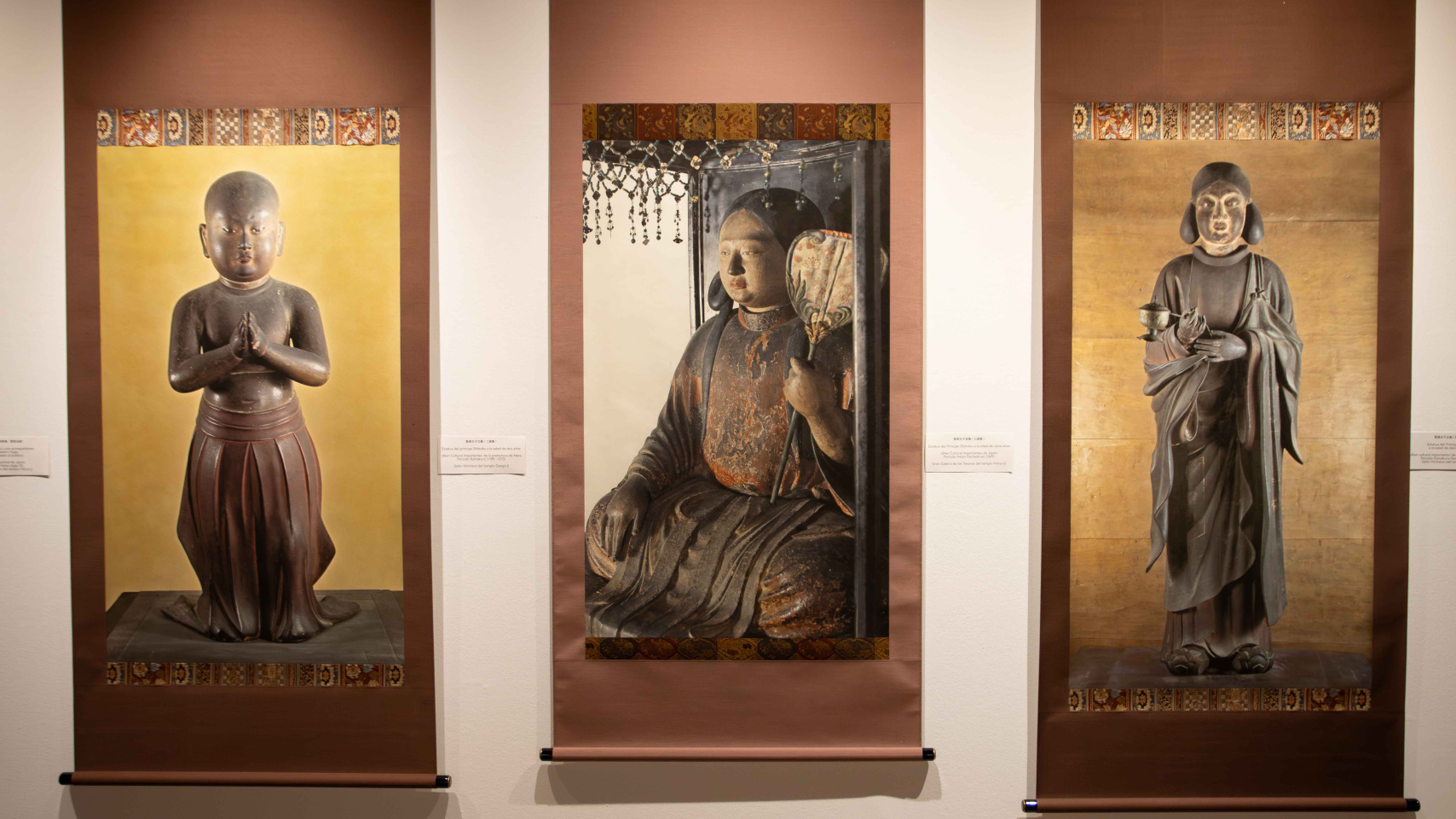 Espectáculo de luces y sombras