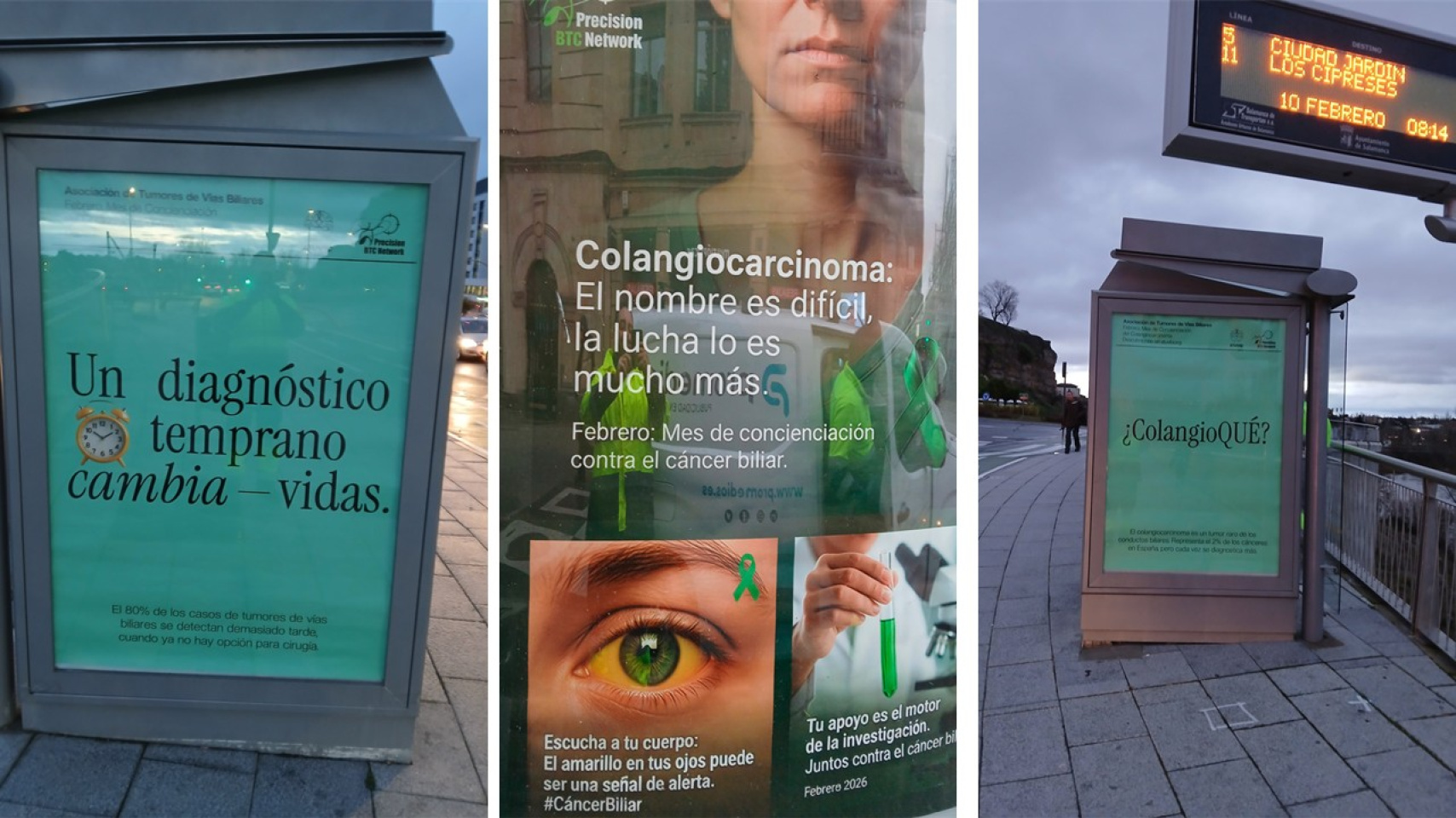 Marquesinas instaladas en la ciudad con cartel informativo sobre el Día Internacional