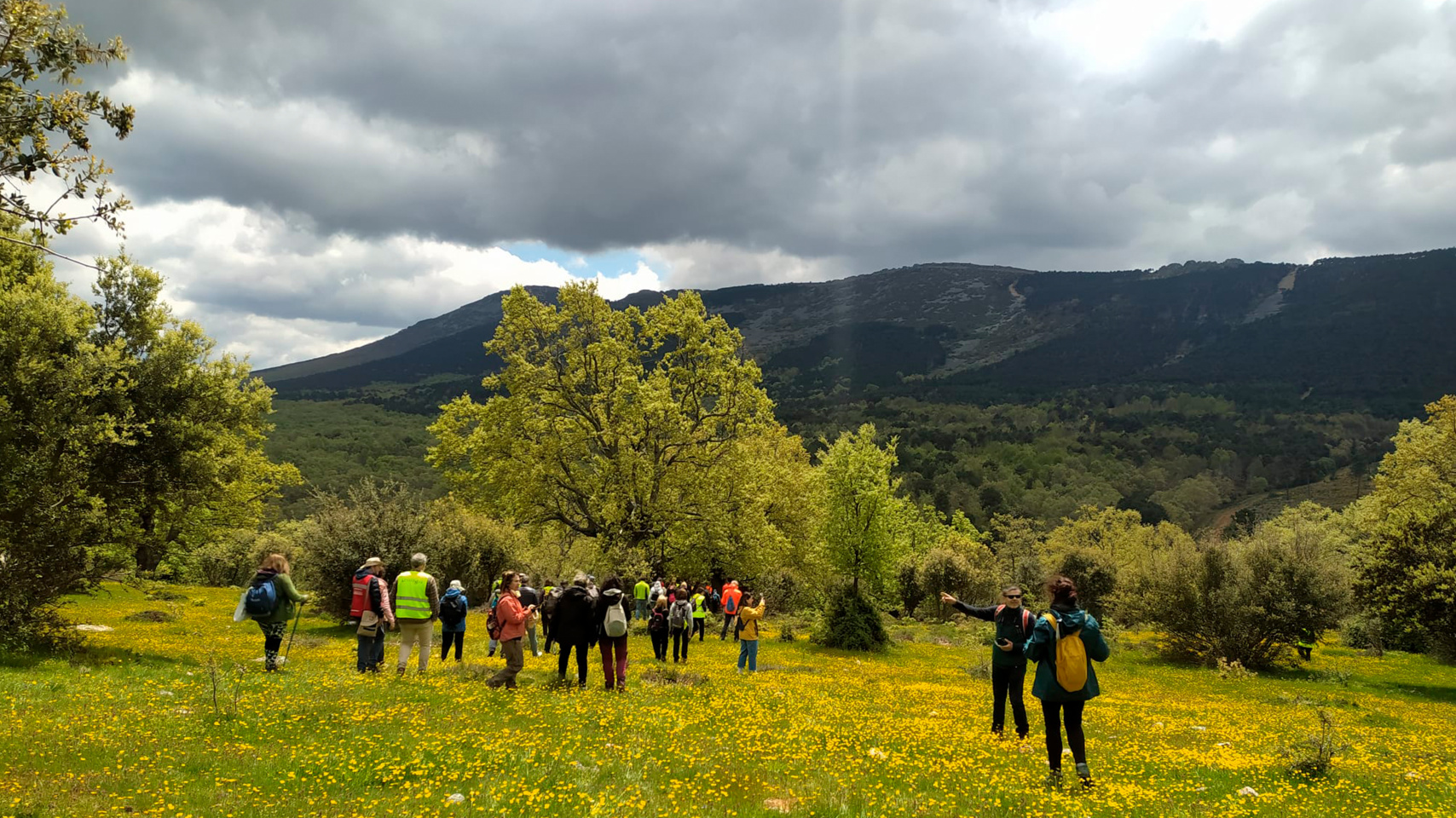 personas de ruta senderista