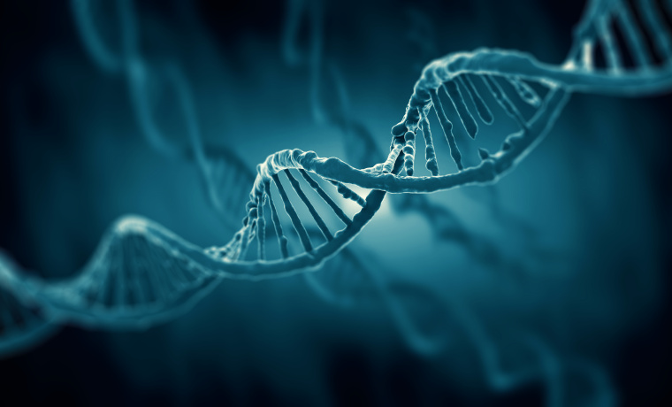 La USAL promueve la investigación en biofísica y biología estructural con un curso dirigido por los científicos de Berkeley Carlos Bustamante y Evangelina Morales