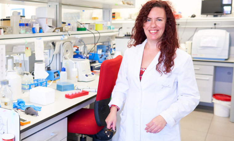 Una investigadora de la Universidad de Salamanca demuestra que la inhibición de una proteína frena el desarrollo de la fibrosis hepática